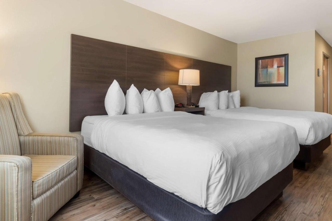 Best Western Plus Saint John Hotel & Suites Eksteriør billede