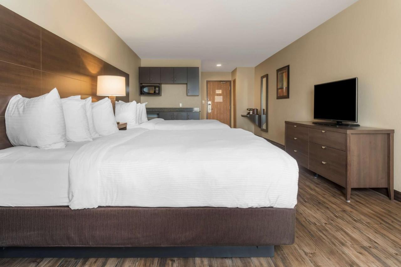 Best Western Plus Saint John Hotel & Suites Eksteriør billede